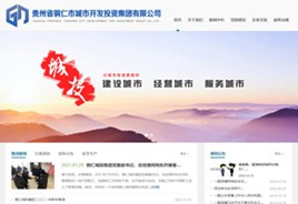 桐梓城市开发投资集团有限公司